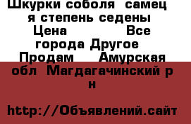 Шкурки соболя (самец) 1-я степень седены › Цена ­ 12 000 - Все города Другое » Продам   . Амурская обл.,Магдагачинский р-н